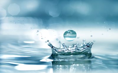 Have a Sustainable Summer: 8 Tips to Save Water at Home