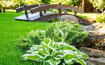 Why Your Yard Feels Off—and How Landscape Design Can Fix It